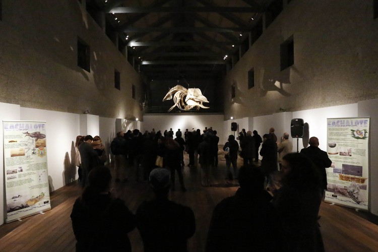 Exposición en el Museo del Mar en Vigo