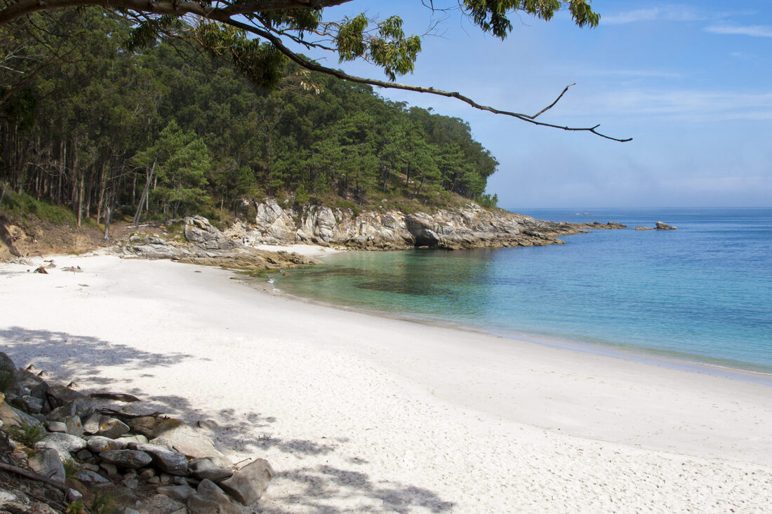 Islas Cies Playa de figueiras